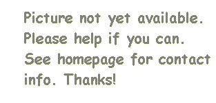 Image result for Regency DX-3000