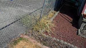 If num_digits is greater than 0 (zero), then number is rounded up to the specified number of decimal places. Roundup Alternative Results Worry Free Vs 20 Vinegar Weed Killers Brobrycegardens Youtube
