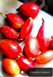 Image result for Aframomum alboviolaceum