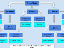 choosing a stats test interactive flowchart psychology