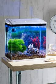 So when he wanted to get a large. Fish Tank With Led Light Studio