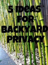 Home Garden How To Make A Garden Backyard Privacy Backyard Privacy Landscaping