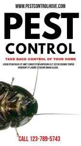 Bed bug pest control in alabama. Pest Control Video Template Pest Control Pests Cleaning Service Flyer