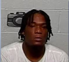 Steven Bailey received a 30-year prison sentence Monday for his role in the  fatal Park Tavern crash. Bailey previously pleaded guilty to multiple  charges, including two counts of third-degree murder for the