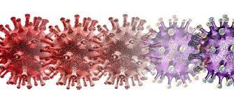 Jairo dias piazer junior, de 23 anos, estava internado na capital gaúcha desde o dia 21 de maio. Covid 19 Primeiro Caso Da Variante Lambda E Confirmado No Parana