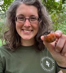 Image result for Diospyros virgata