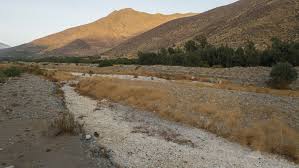 Villagers in this area used to grow beans, corn, potatoes or use their lots for livestock farming. Severa Sequia Habitantes De Petorca Deben Vivir Con 50 Litros De Agua Potable Diarios Meganoticias