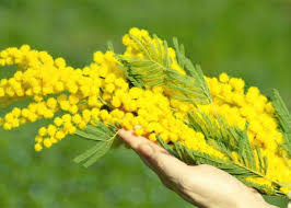 Prenota con noi on line il tuo evento preferito per la notte di festa della donna a milano 2015!! Eopuiapmskv3ym