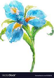 Blue Watercolor Iris Flower Watercolor Floral Illustration Download A Free Preview Or High Quality Adobe Illustrator Ai Iris Flowers Iris Art Blue Watercolor