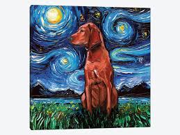 Repeat the same system, holding the box in your hand and waiting for the dog to. Redbone Coonhound Night Canvas Print By Aja Trier Icanvas
