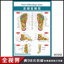 buy foot reflex zone flipchart foot points chart