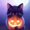 They provide a good amount of nutritional value to cat diet. Https Encrypted Tbn0 Gstatic Com Images Q Tbn And9gcq6odod65y4rth9rbnyfkheynbellc Bdcsmj Fjjm Usqp Cau