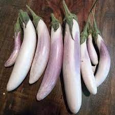 Bride Eggplant Seeds Eggplant Eggplant Seeds Container Vegetables Eggplant