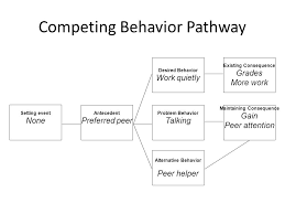 building behavior support plans from the competing behavior