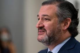 But please, ted cruz is begging you, do not blame him for this dereliction of duty: Curley Ted Cruz Vs Andrew Cuomo Coverage Says It All About Liberal Media Boston Herald