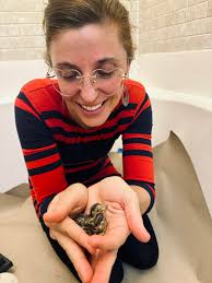 We're adding quail to the food forest!🐣🐥🐣 Cuteness overload!!!!🥰 For  me, quail are a lot easier than chickens. They don't harbor salmonella, are  much quieter, require less space, have more nutritious eggs,