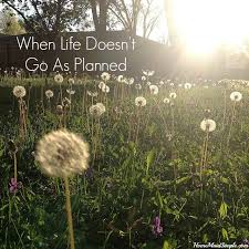 When Life Doesn T Go As Planned Home Maid Simple