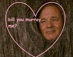 Feliz cumple, Bill Murray! ~ la cuarta pared