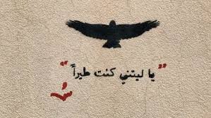 Keske Kus Olsaydim Iphone Wallpaper Quotes Love Cover Photo Quotes Graffiti Words