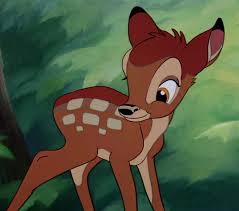 Royalty free deer fawn images and stock photography. Bambi Disney Wiki Fandom