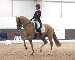 Charlotte dujardin judy murray rides valegro driving force. The Beautiful Pumpkin Gio Co Owned Charlotte Dujardin Facebook