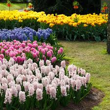 Add 1/4 tubing to each plant. How To Irrigate A Garden Bed Irrigation Express