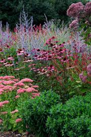 combinaisons design idees mes photos plantes preferees mes combinaisons de plantes preferees 48 jardins champetres beaux jardins idees jardin