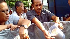 Semakin bagus pelet ikan yang diberikan, semakin cepat bisa juga ditambahkan 1% sampai 2% kalsium karbonat atau kapur dan juga sekitar 1% sampai 3. Dolomit 1 Kg Untuk 1 Meter Tong Ikan Lele Youtube