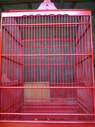 Demikian beberapa harga sangkar burung lovebird mulai dari termurah sampai termahal. Sangkar Burung Murai Warna Merah Unggulan Sangkar Burung Burung Warna