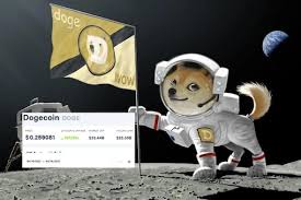 But it wasn't until 2021. Dogecoin Cryptocurrency Records Biggest Jump In A Day Thanks To Elon Musk And Memes