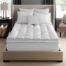 Check spelling or type a new query. Pacific Coast Feather 3 Down And Feather Mattress Topper Reviews Wayfair
