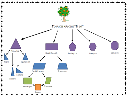 polygon geometree graphic organizer graphic organizers