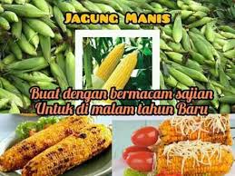 Maybe you would like to learn more about one of these? Rifaldi Snacksmall Halaman Utama Facebook