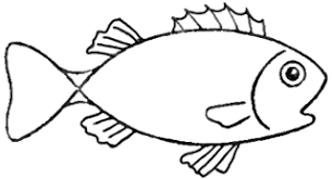 Step 5 How To Draw Cartoon Fish Step By Step Drawing Lesson - How To Draw  Step By Step Drawing Tutorials