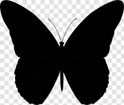 Kitchen utensils colored clipart butterflies translucent. Butterfly Vector Graphics Clip Art Cdr Monochrome Photography Transparent Png