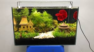 17 ideas for aquascaping your tank here are some beautiful aquascaped tanks to give you some ideas of what you might accomplish in your aquarium with the right hardscape and design. Diy Aquarium Fish Tank Ideas Mr Decor Step By Step How To Plant An Aquascape Dutch Style Diy Aquarium Fish Tank Mr Decor Facebook