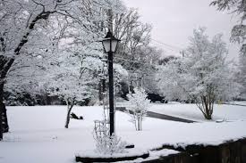 Deși mai sunt câteva zile până la începerea lunii iunie, vremea dă semne de întoarcere la iarnă. Ce Nu Stiai Despre Zapada Dar Vrei Afla Acum DeÈ™tepÈ›i Ro