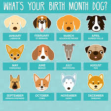 Let S Have A Little Fun What S Your Birth Month Dog In 2020 Dog Birth Dog Zodiac Birth Animal