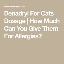 Benadryl For Cats Dosage How Much Can You Give Them For Allergies Benadryl For Cats Cat Allergy Remedies Cat Allergies