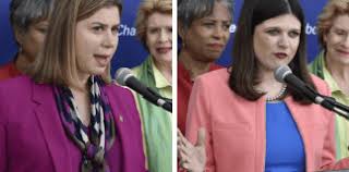 Image result for elissa slotkin haley stevens