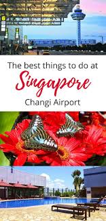 What To Do At Singapore S Changi Airport Tips For Transit Passengers Singapore Changi Airport Singapore Travel Tips Asia Destinations