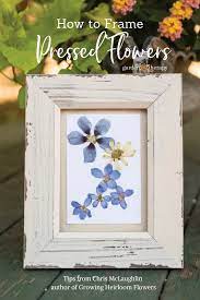 How to preserve your flowers. These Blooms Never Fade How To Frame Pressed Flowers Garden Therapy