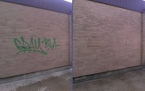 Graffiti Removal By My Graffiti Removal Guy Www Graffitiremovalindetroit Com Green Spray Paint Graffiti Graffiti Art
