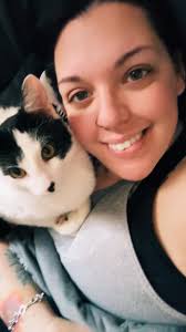 cow kitty watching tv