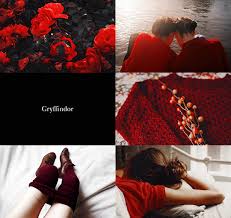Wizarding Schools Girls And Boys Aesthetics Gryffindor Girls 1 2 Gryffindor Aesthetic Harry Potter Aesthetic Weasley Aesthetic