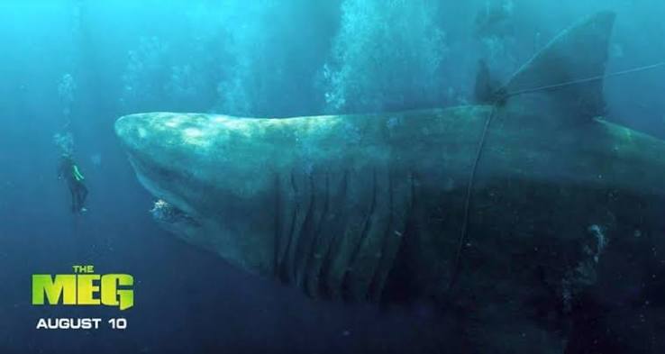 The Meg Review: Dead in the Water | We Live Entertainment