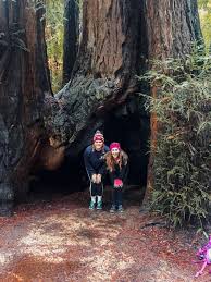 Hume Lake and Sequoia National Park