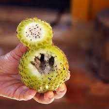 Edible Cacti In Chile Secret Food Project Food Food Projects Best Edibles
