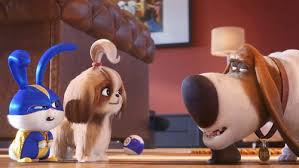 Oare cine va fi singur în new york cu ocazia acestui acest crăciun? Singuri AcasÄƒ 2 2019 VedeÈ›i SubtitrÄƒrile Online In Limba RomanÄƒ By Propri Medium