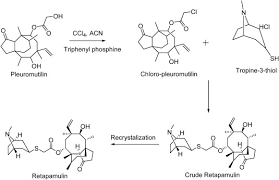 Image result for Retapamulin